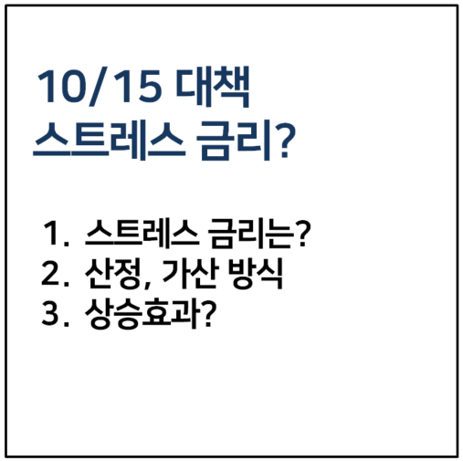 스트레스 금리 시행